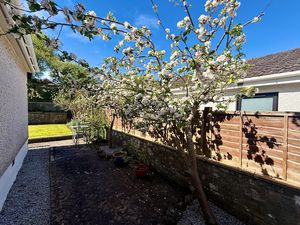 Photo 15- click for photo gallery